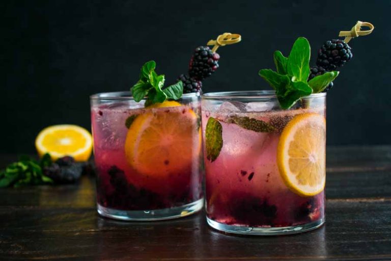 Blackberry and Meyer Lemon Gin and Tonics