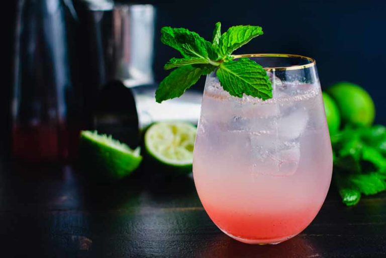 Rhubarb Mint Mojito